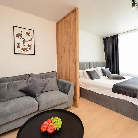 Novo Studio - Cismigiu Gardens - Quiet - Smart Tv Apartament